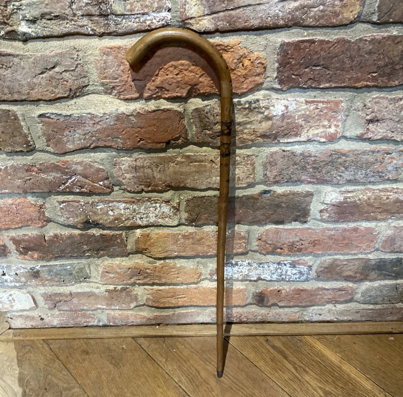 Antique Stockman's Cane | Pointer | Junkaholic Vintage UK