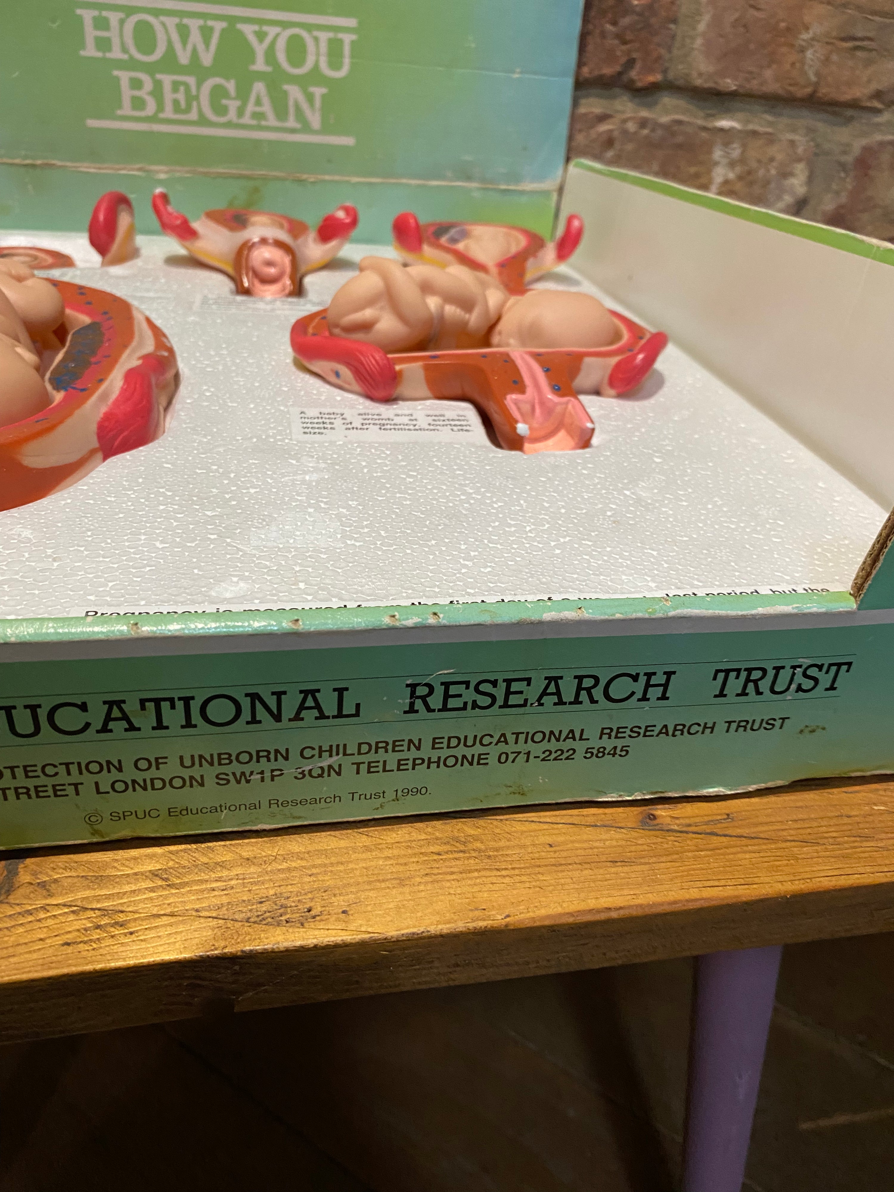 How You Began , Educational Model by Spuc Educational Research Trust