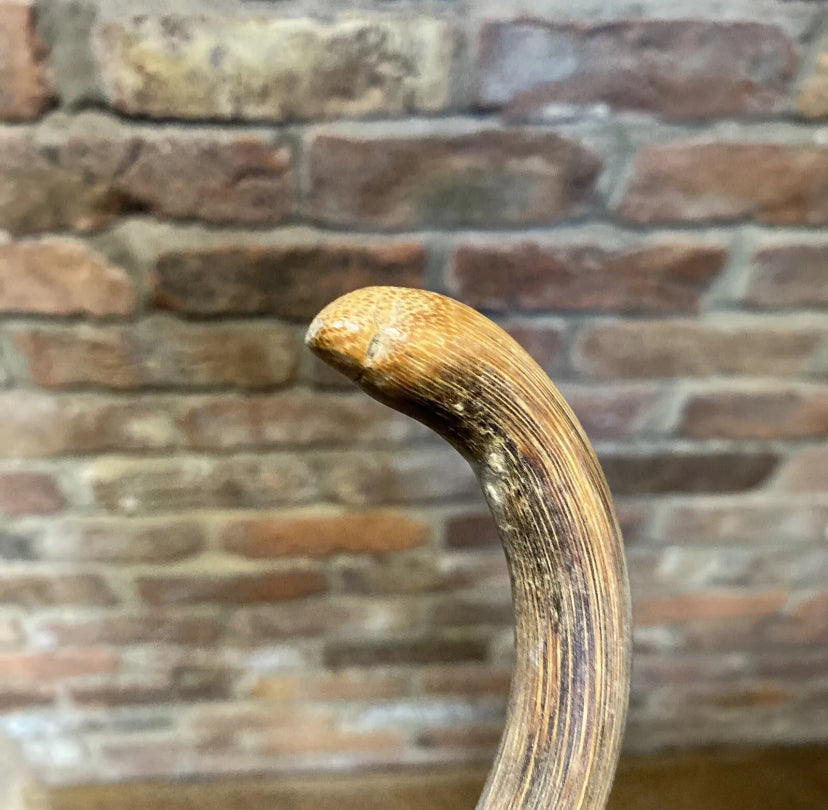 Antique Stockman's Cane / Pointer | Junkaholic Vintage UK